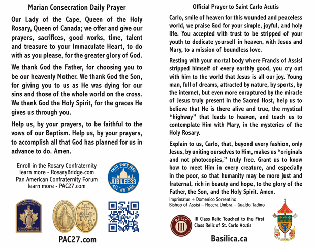 Saint Carlo Acutis  - Our Lady of the Cape Prayer Card