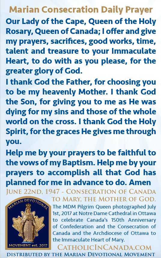 Marian Consecration Daily Prayer Cards - Marian Devotional Movement
