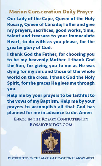 Papal Visit Marian Consecration Daily Prayer Cards - Marian Devotional Movement